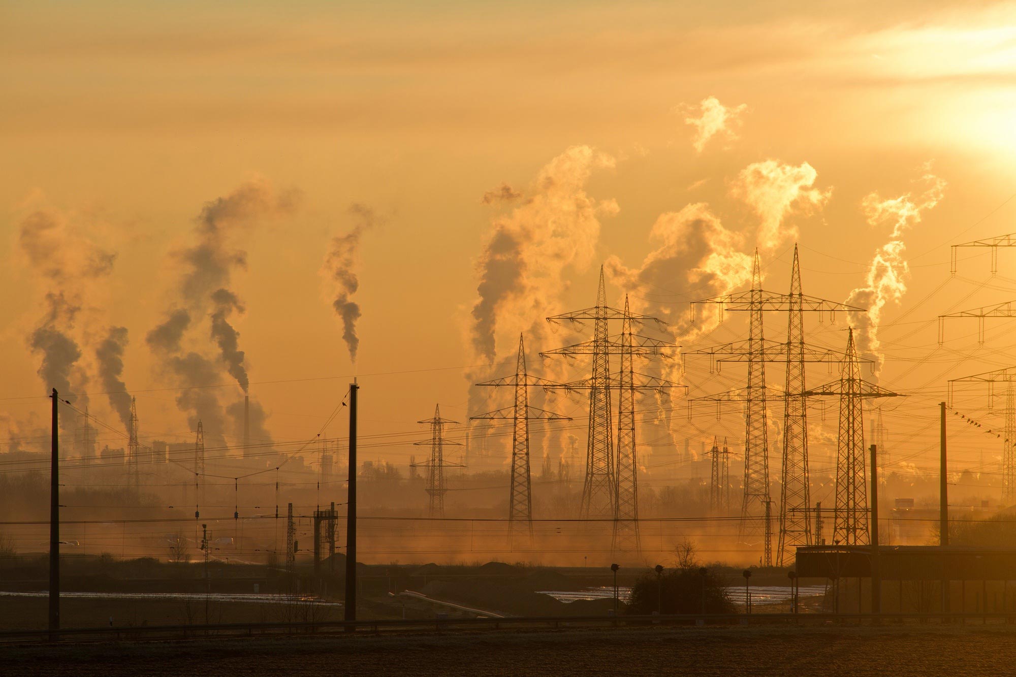 Environmental News Network - Cutting Air Pollution Emissions Would Save  50,000 U.S. Lives, $600 Billion Each Year