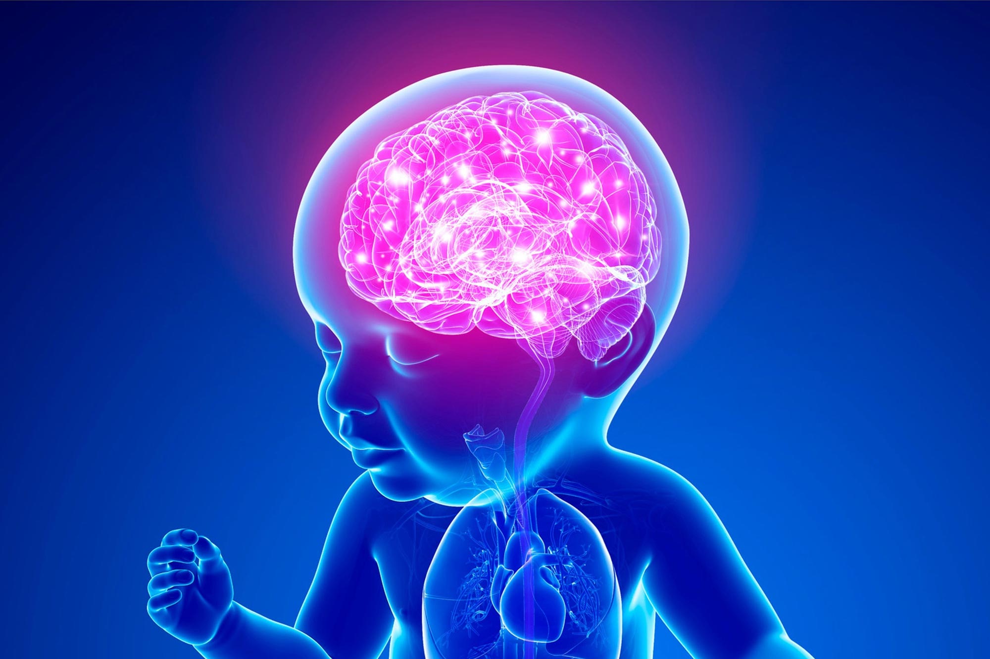 A New Method Can Prevent And Reverse Newborn Brain Injuries
