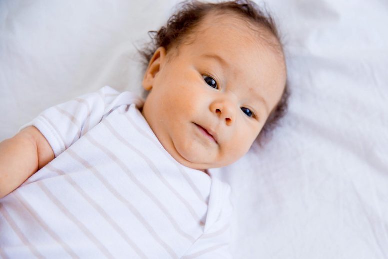 Infant Baby Photo
