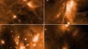 Infant Stars in Orion