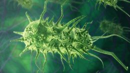 Infectious Bacteria Art Concept