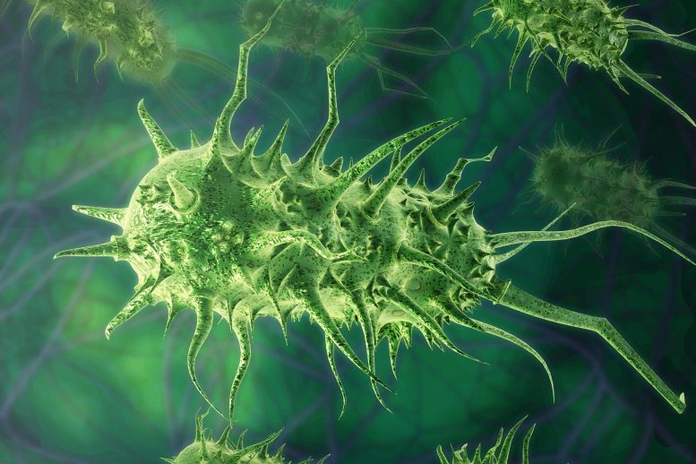 Bacteria parts