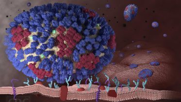 New Tool Monitors Real Time Mutations in Flu – Could Help Stop Replication of Viruses