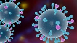 Influenza Viruses Illustration
