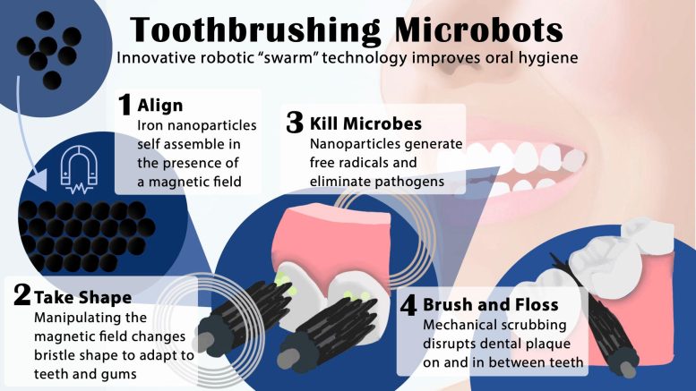 Infographic Microbots Teeth