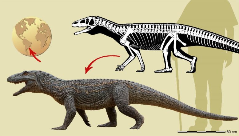 Infographic of Tainrakuasuchus Bellator