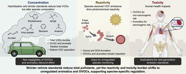 Infographic of Vehicle Exhaust Pollution Risks