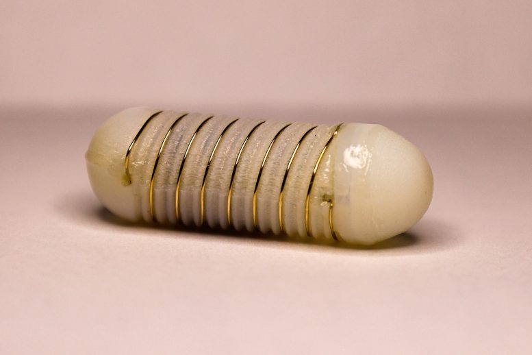 Ingestible Electroceutical Capsule Close