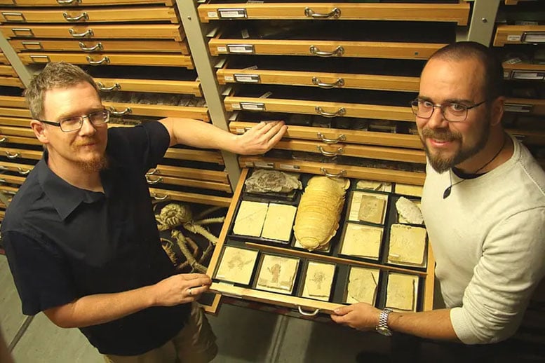 Ingmar Werneburg and Benedikt Kästle in the Tübingen Palaeontological Collection Archive