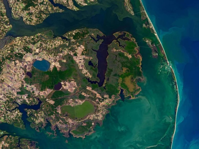 Inland-Creeping Saltwater Is Changing U.S. Coastal Wetlands