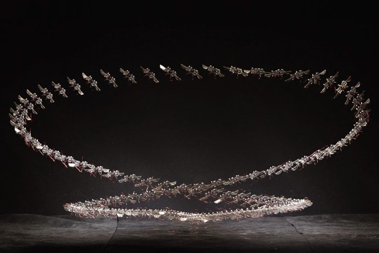 Insect Scale Robot Flight Trajectory