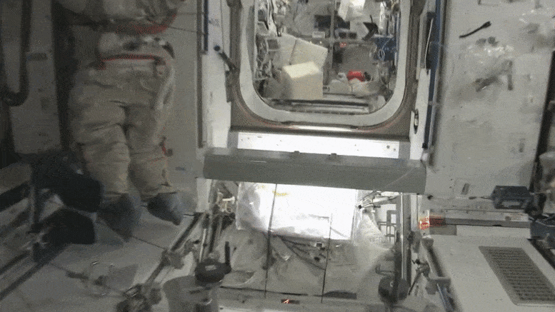 Inside the International Space Station