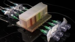 Integrated Artificial Gut Platform Developed at Lincoln Laboratory