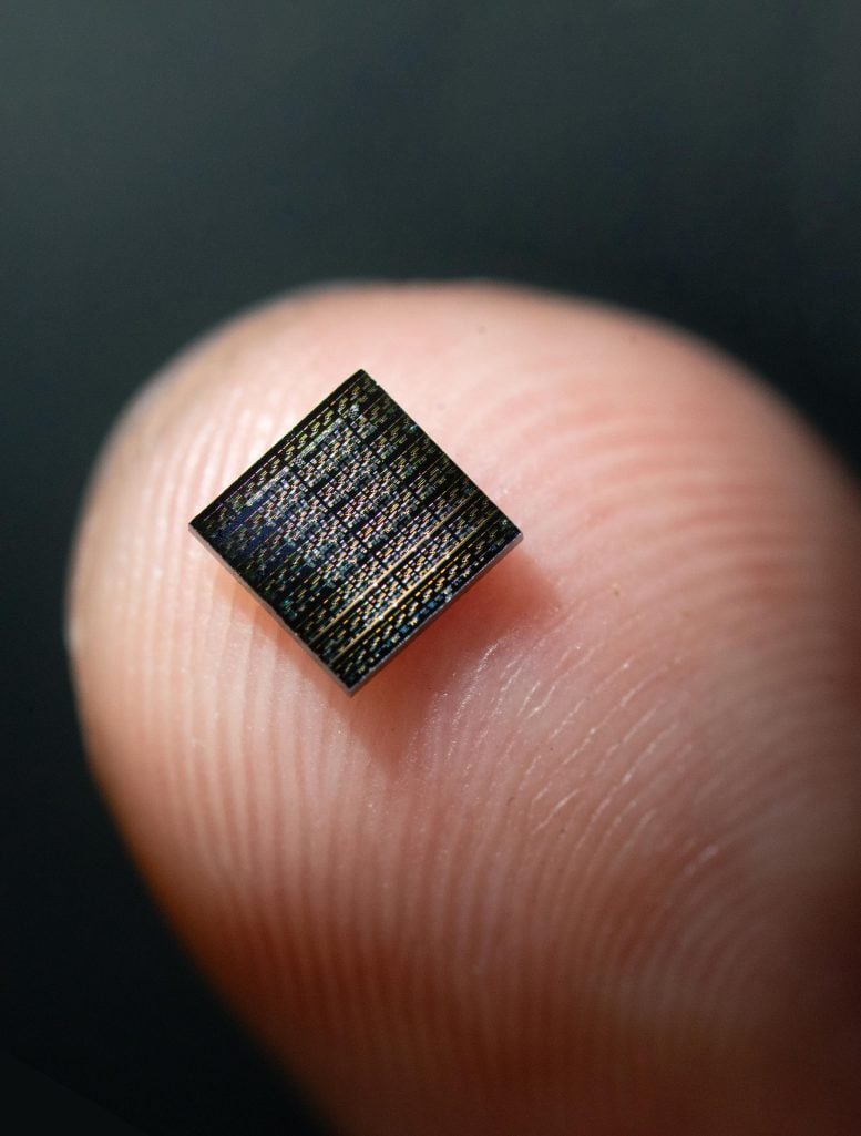 New Artificial Neurons Physically Replicate the Brain