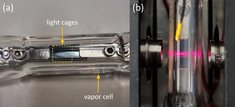 Integration of a Light Cage Chip in a Cesium Vapor Cell