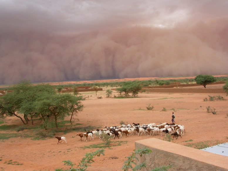 Intense Dust Storm Mali