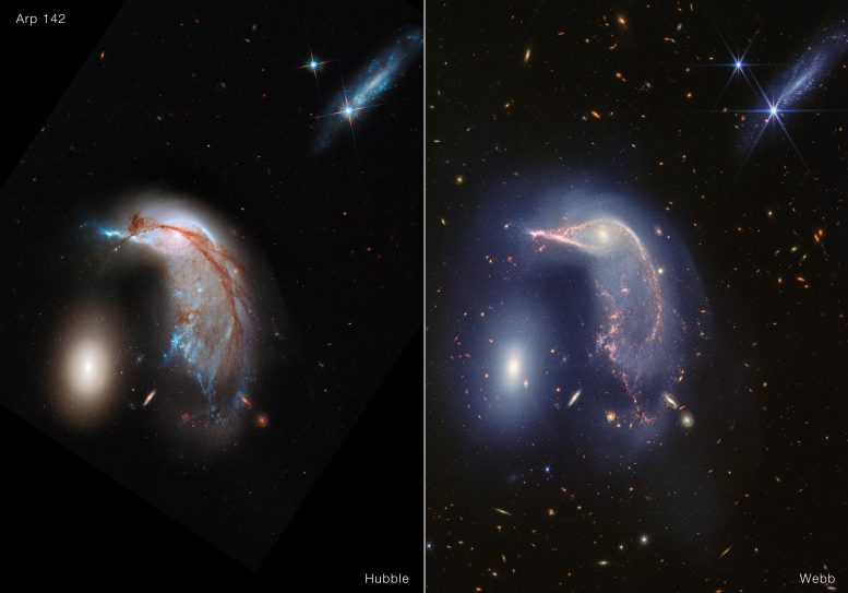 Galassie interagenti Arp 142 (immagine di Hubble e Webb)