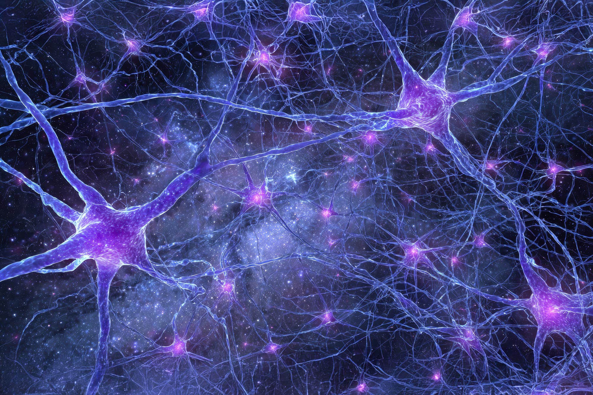 A Human-Specific Gene May Help Explain Our Extraordinary Brainpower