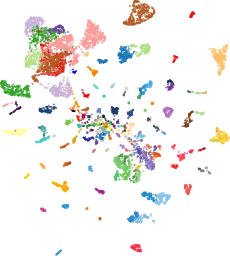 Interface of the Cross NN AI Model
