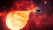 Intermediate-Mass Black Hole Tearing Apart Star