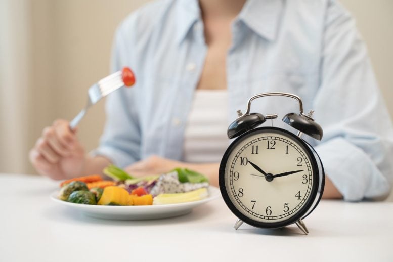 Intermittent Fasting Diet Eating Clock