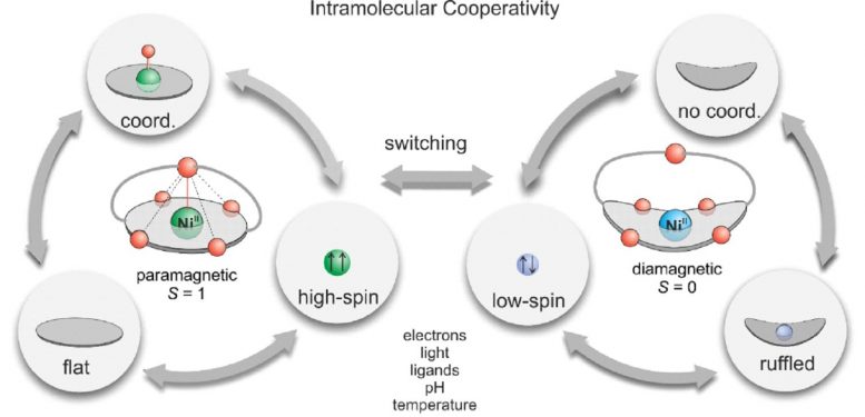 Intermolecular Cooperativity Graphic