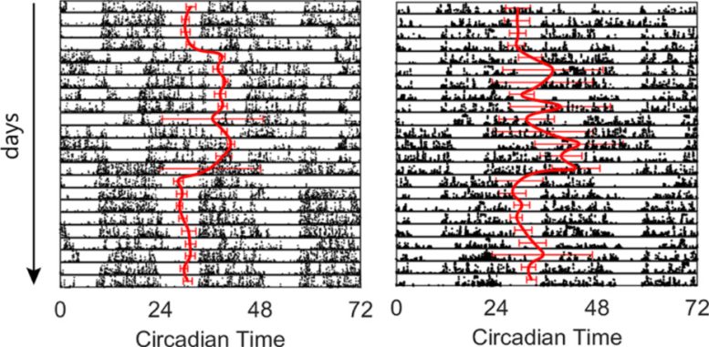Intern Activity and Circadian Rhythms Reveal Seasonal Response Differences