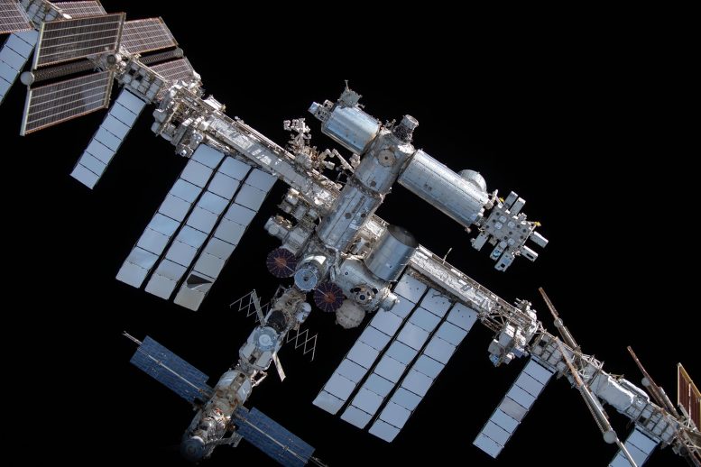 La stazione spaziale internazionale fotografata dall'equipaggio Dragon Endeavour di SpaceX