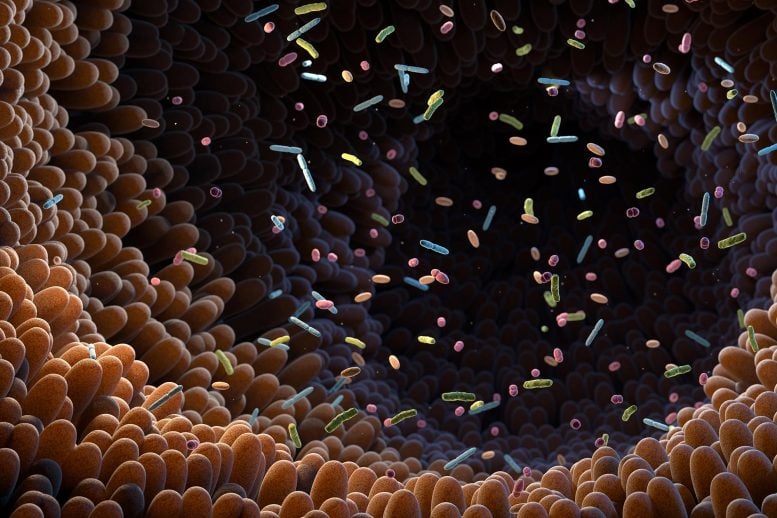 Intestinal Bacteria Gut Microbiome