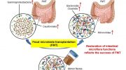 Intestinal Microflora Function Restoration