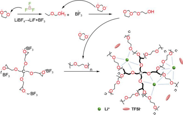Intrinsic Polymer Electrolyte Polymerization Reaction Path