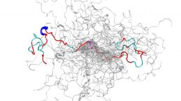 Intrinsically Disordered Protein
