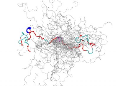 Using a Supercomputer and Neutrons to Reveal Structures of ...