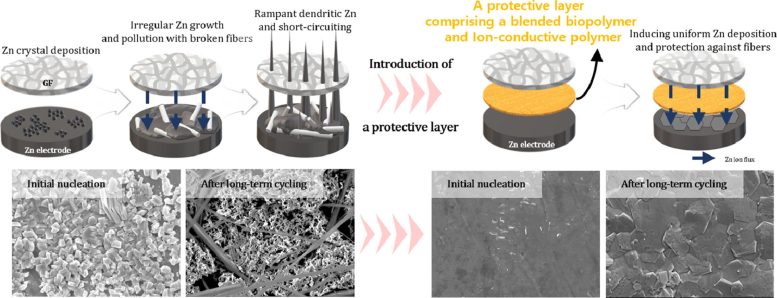Introducing a Xanthan Gum Based Shield To Drive Uniform Zinc Deposition Graphic