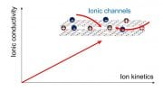 Ionic Channels in Carbon Electrodes