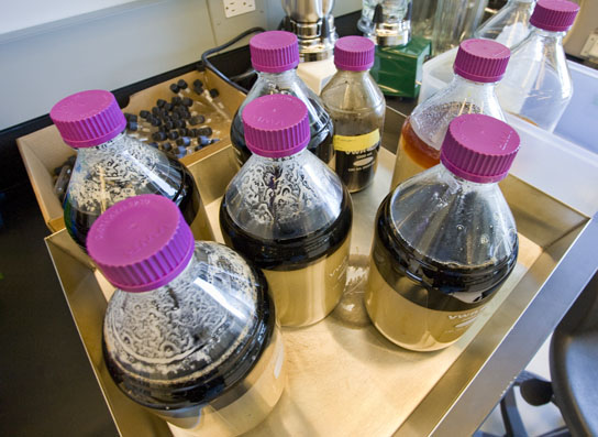 Ionic liquids are environmentally benign organic salts