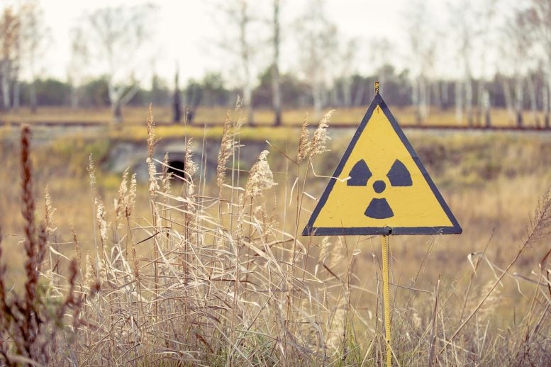 Ionizing Radiation Sign Red Forest Chernobyl Nuclear Power Plant Zone