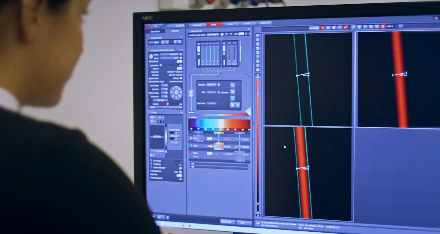 Stronger Than Steel and Tougher Than Kevlar Scientists Shed New Light