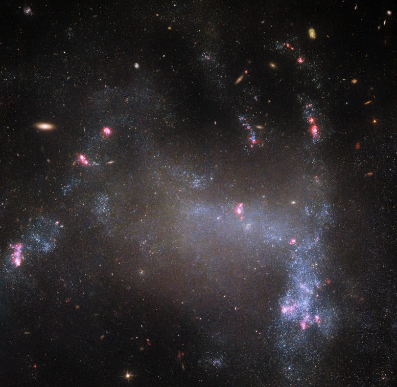 Irregular Galaxy UGC 5829