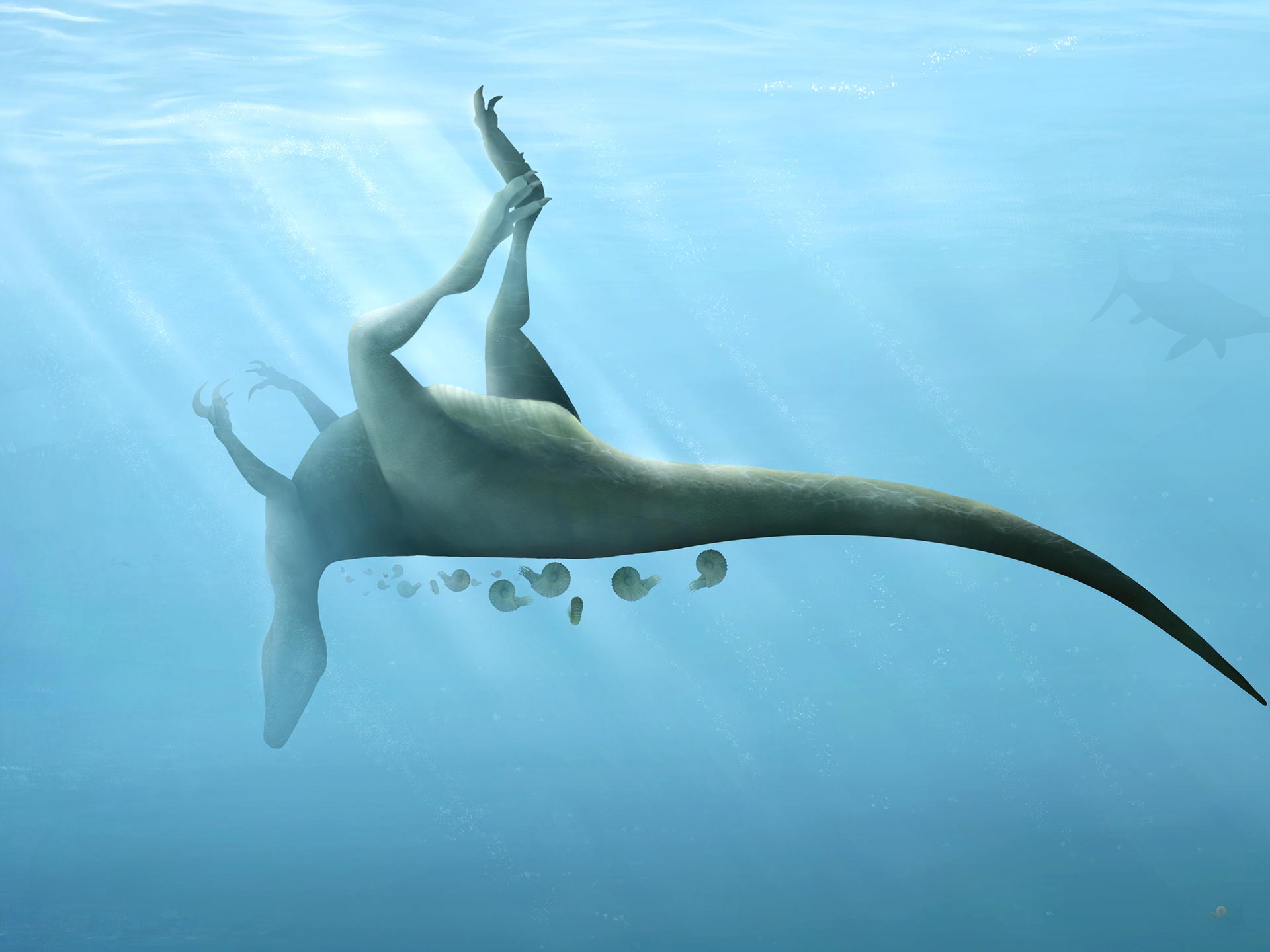 Unusual New Species of Dinosaur Discovered â€“ â€œWe Were Struck by Just How Hollow This Animal Wasâ€ - SciTechDaily