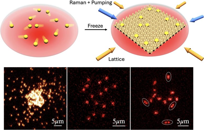 Itinerant Atoms Frozen in Place
