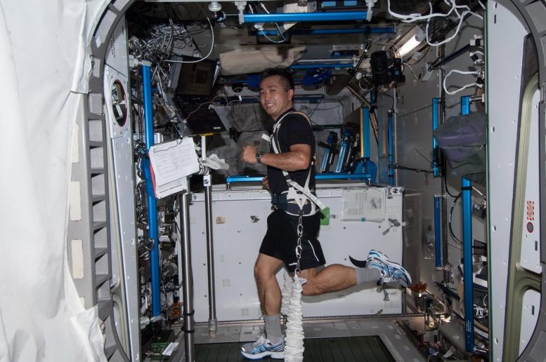 JAXA Astronaut Koichi Wakata Exercises