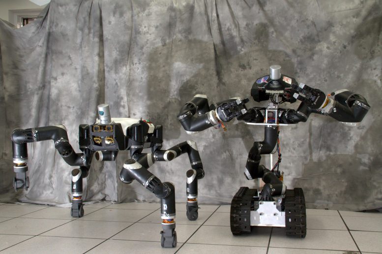 JPL's RoboSimian and Surrogate Robots