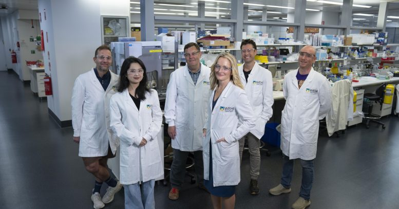 James Vince, Jiyi Pang, James Murphy, Britt Christensen, Andre Samson, and Edwin Hawkins