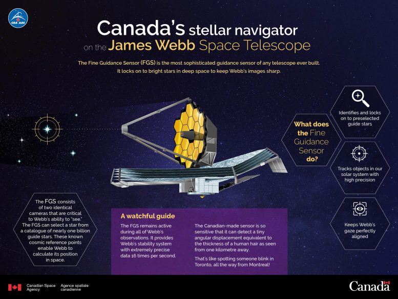 Infografica del sensore di guida fine del telescopio spaziale James Webb