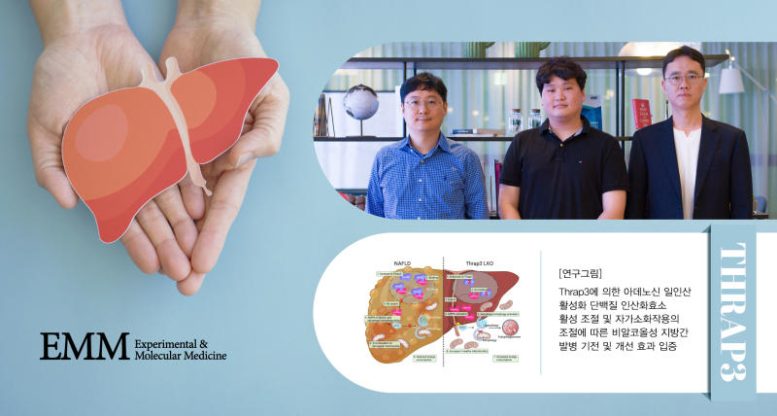Jang Hyun Choi and Sung Ho Park Liver Research