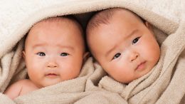 Japanese Baby Twins