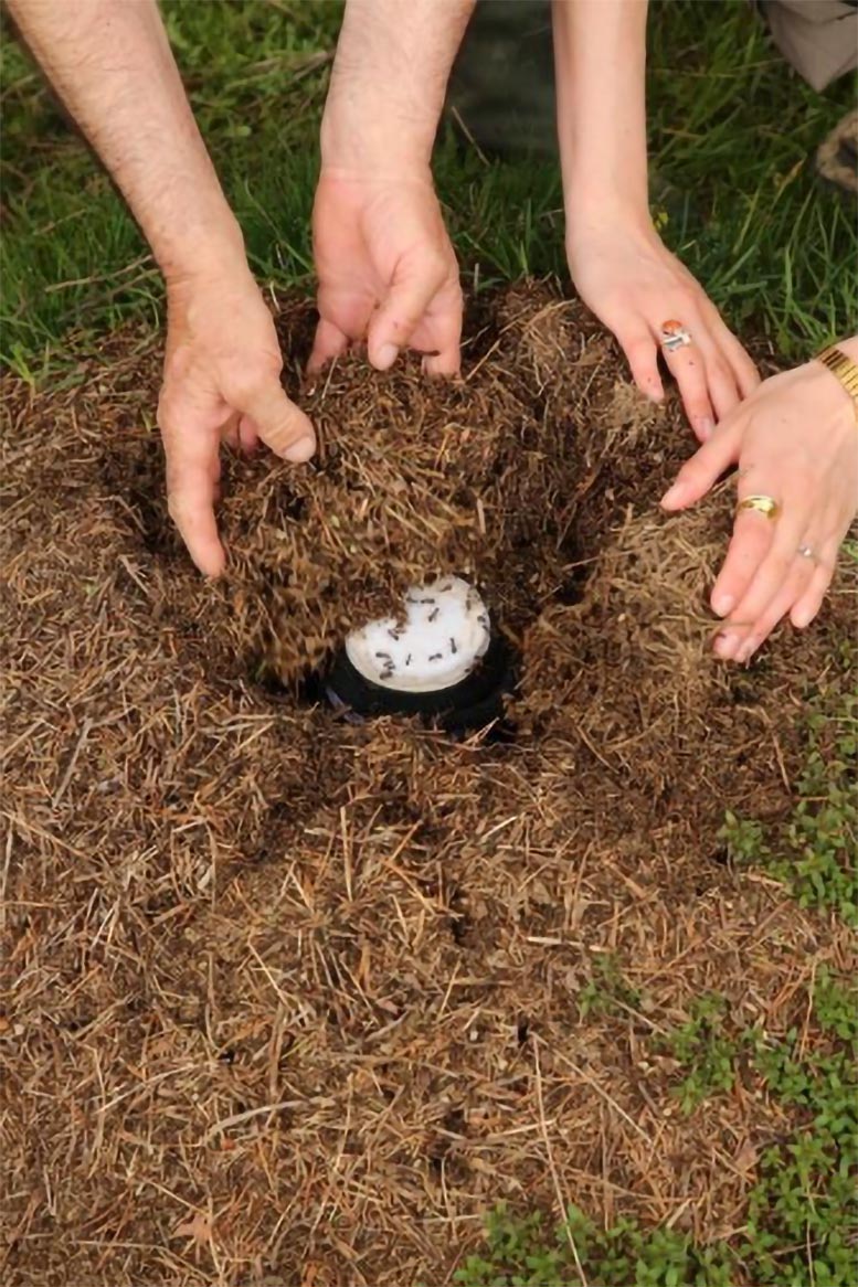 ����� � ������� � ������� ������� ������ ��������