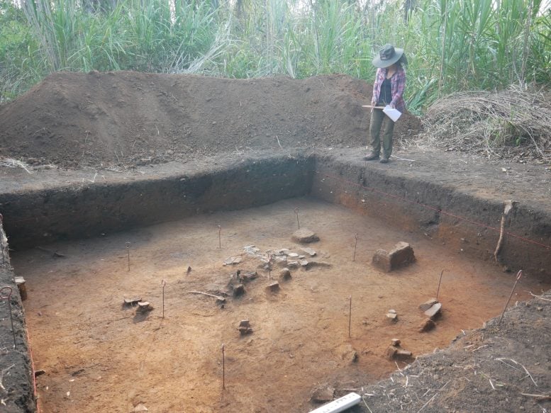 Scientists Uncover Lost Amazonian Landscape, Revealing a Human-Made Past