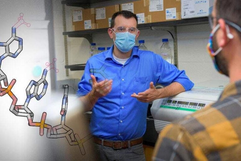 Jeff Magridge Examining Eraser Enzymes